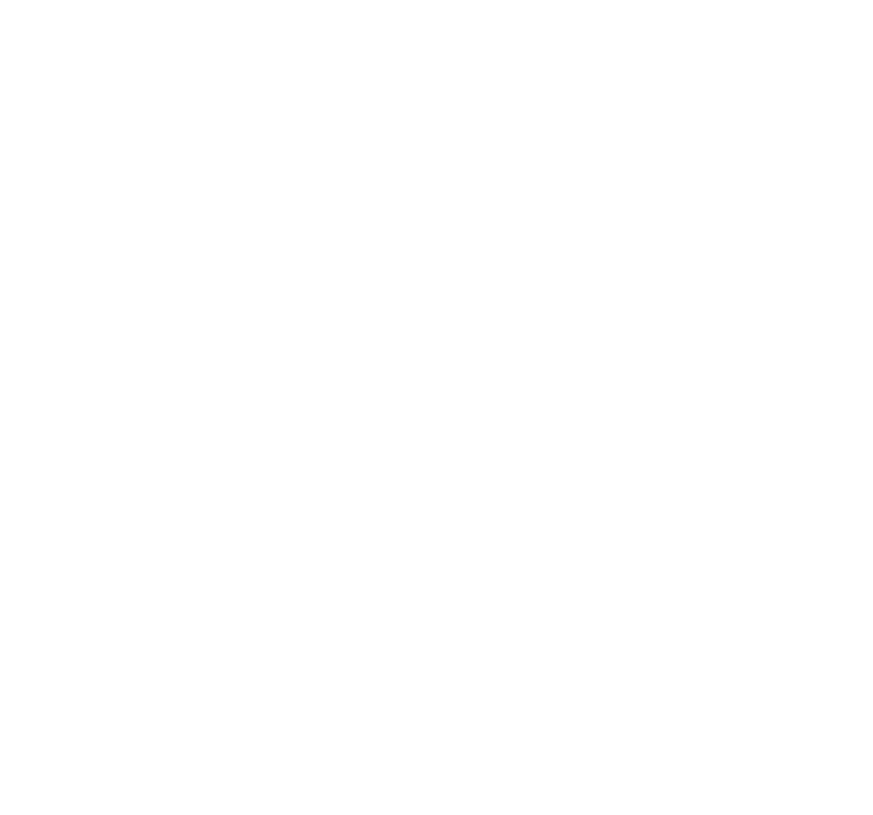 The Irish Times Pub